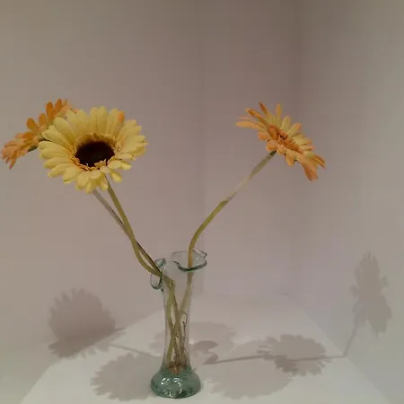 Mare Nostrum Апартаменты